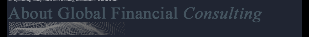 About the Global Financial Consulting Team