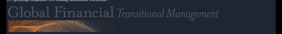 Global Financial Transitional Management Services